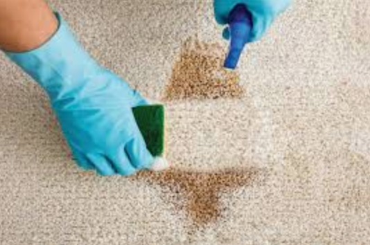 What is the best homemade carpet stain remover?