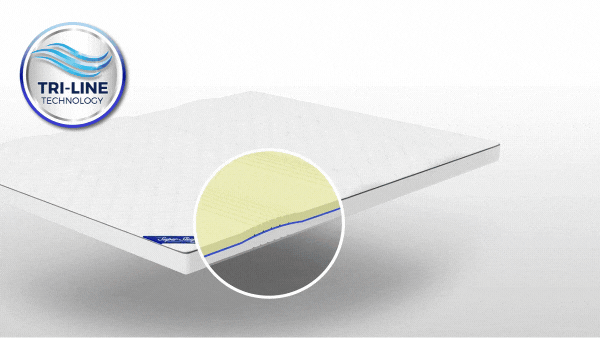 files/SSP-topper-feature-01.gif