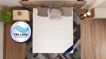 files/SSP-topper-feature-03.gif