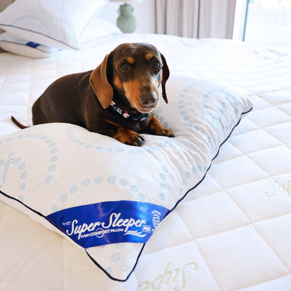 Super Sleeper Pro Adjustable Pillow With Cooling Technology - TV Double Offer! Pillow Kleva Range - Everyday Innovations