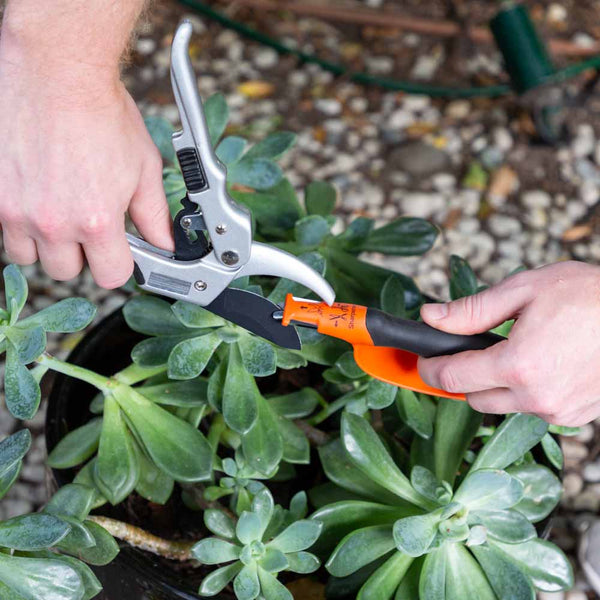 Universal Sharpening Tool - For Knives, Scissors and Garden Shears gardening and outdoor Kleva Range - Everyday Innovations