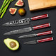 Professional 67 Layer Damascus Steel 4pc Chef Knife Set Beautiful Bamboo Case Kitchen Knives Kleva Range