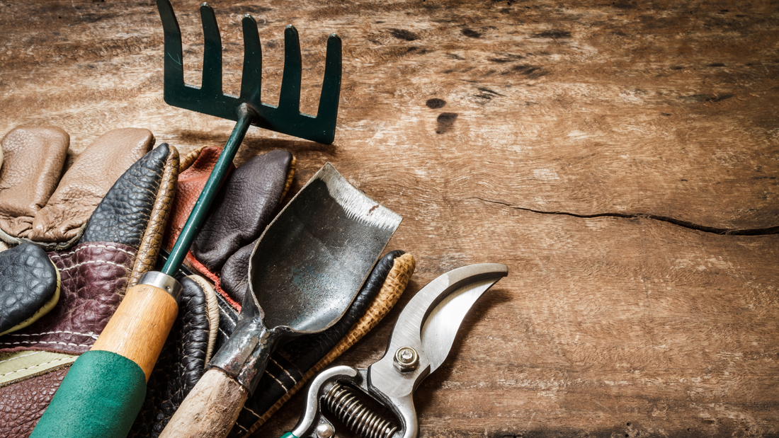 Essential Pruning Tools For Your Garden