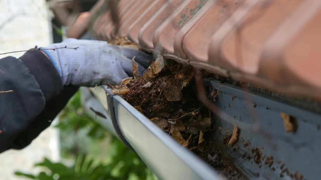 Gutter cleaning