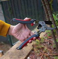 How to Sharpen Garden Shears: Easy Steps for a Razor-Sharp Cut