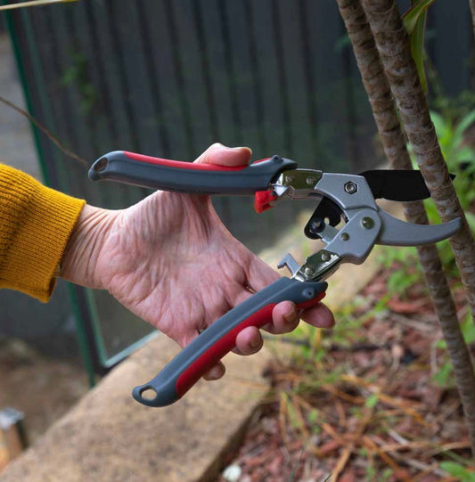 How To Sharpen Gardening Shears