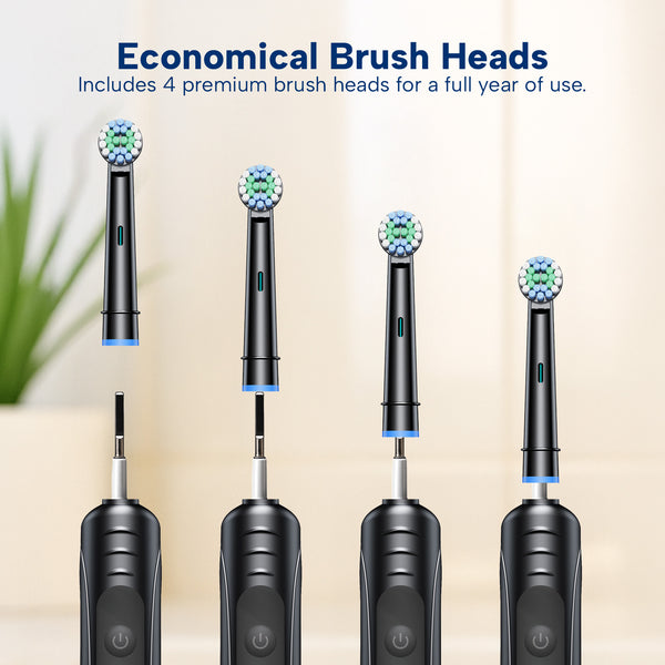 Four Kleva SonicClean Rechargeable Electric Toothbrushes by Kleva Range are shown with round, multicolored brush heads. Text above highlights economical brush heads, four included for a year of plaque-removing cleaning.