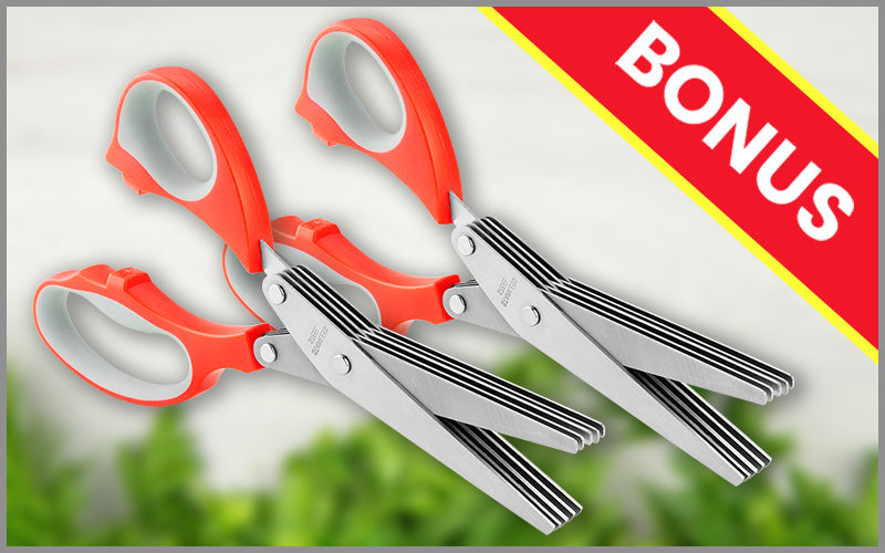 files/Herb_Scissors_x2_2a44d7fe-ebf2-49f1-ae8e-c8b9ceddb2de.jpg