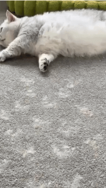 files/Lint_Lift_featured_banner_02.gif