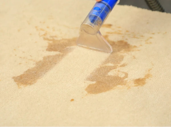 A close-up of a handheld carpet cleaning tool using Kleva Range’s KRAPOF® Carpet Shampoo Spray to remove a brown liquid stain from a light-colored carpet.