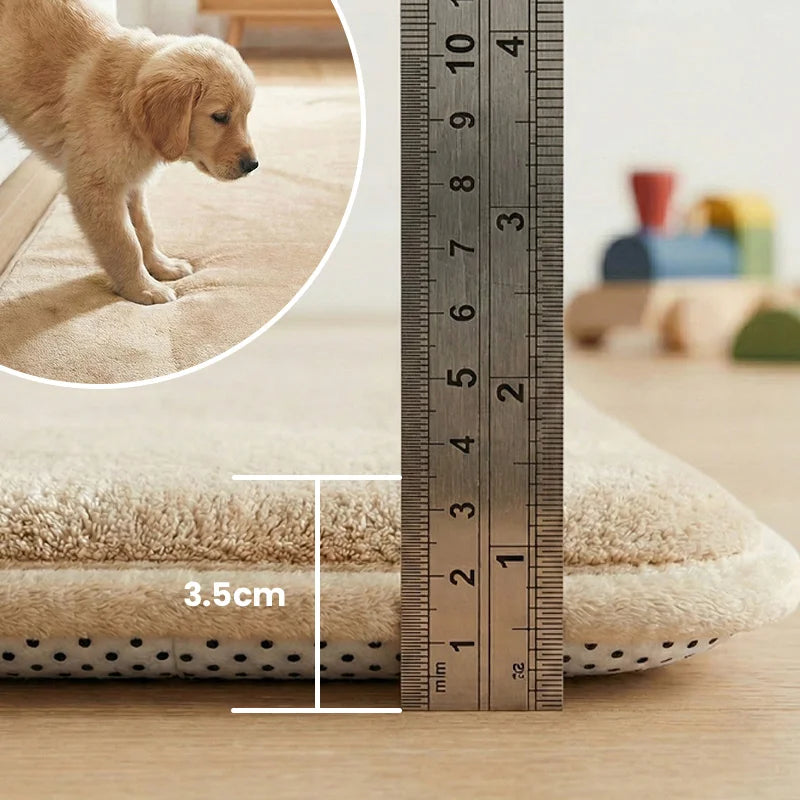 files/Tatami-mat-featured-02.webp