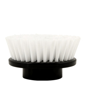 All-Purpose Scrubber