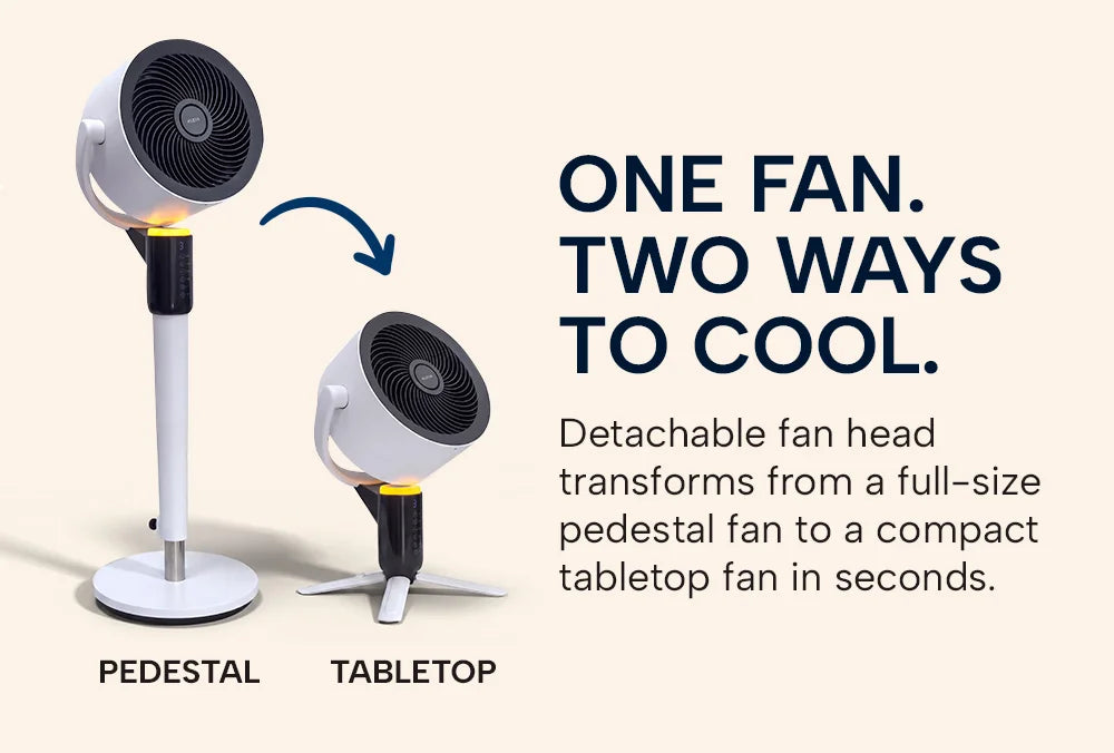 files/chill_out_fan-_features_-_17.webp