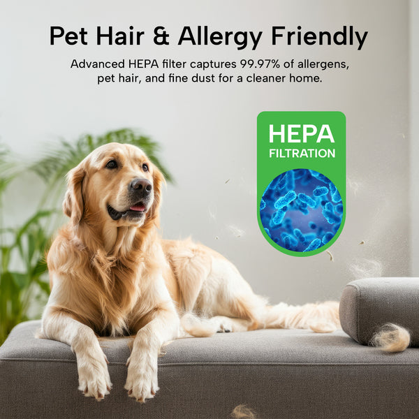 A golden retriever lies on a gray sofa with pet hair floating. A graphic highlights how the KRAPOF® Compact Clean Self-Empty Cordless 2-in-1 Handy Vacuum Cleaner + Stick Vac by Kleva Range, with HEPA filtration, removes allergens and pet hair efficiently.