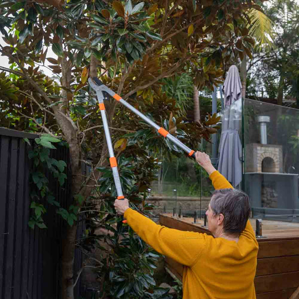 The Ultra Large Tree Lopper  Kleva Range - Everyday Innovations   