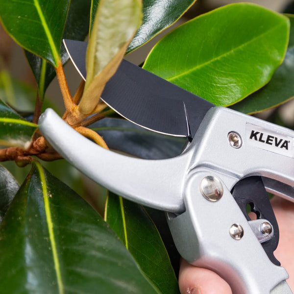 Quality Ratchet Pruning Shears With Easy Grip Squeeze & Release Handles gardening and outdoor Kleva Range - Everyday Innovations   