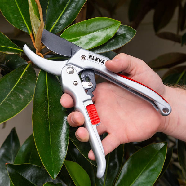 Quality Ratchet Pruning Shears With Easy Grip Squeeze & Release Handles gardening and outdoor Kleva Range - Everyday Innovations   