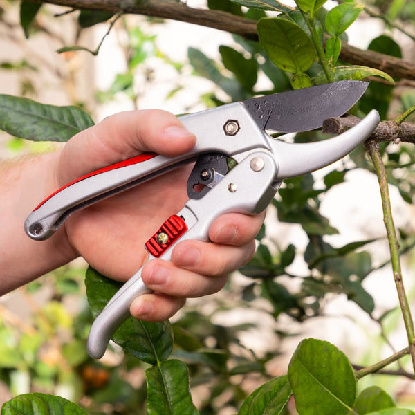 Quality Ratchet Pruning Shears With Easy Grip Squeeze & Release Handles gardening and outdoor Kleva Range - Everyday Innovations   