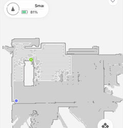The Smart Life app showing the map the robot made of a home, with the neat rows it has cleaned.